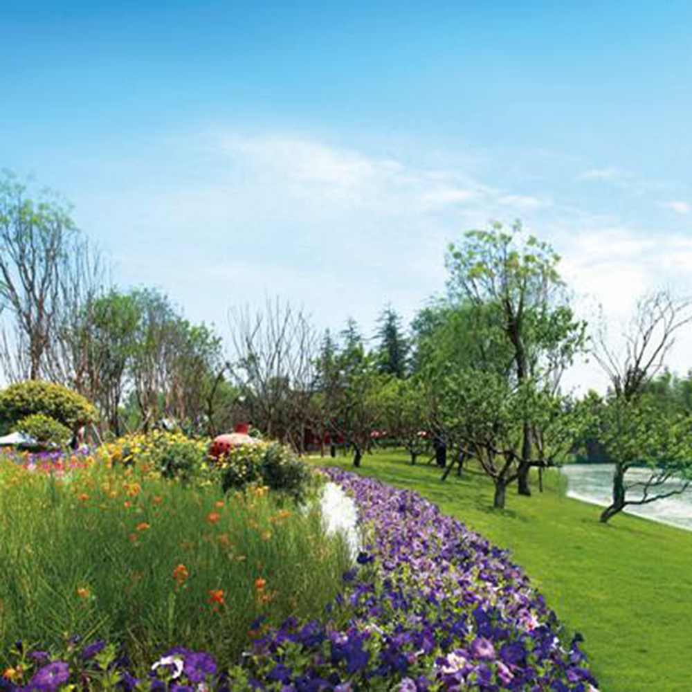 TST PoE Switches Facilitate Smart Park Construction